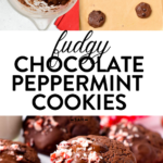 Chocolate Peppermint CookiesChocolate Peppermint Cookies