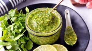 This Cilantro Garlic Sauce is a delicious healthy sauce for grilled meat, toast, or salad made from a few wholesome ingredients.