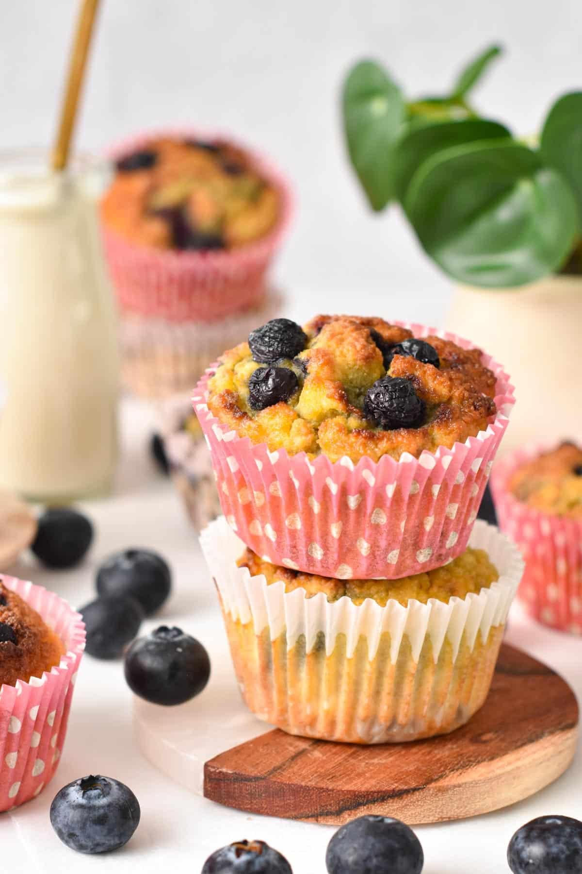 Two coconut flour blueberry muffins stacked together with pink dotted paper liner.