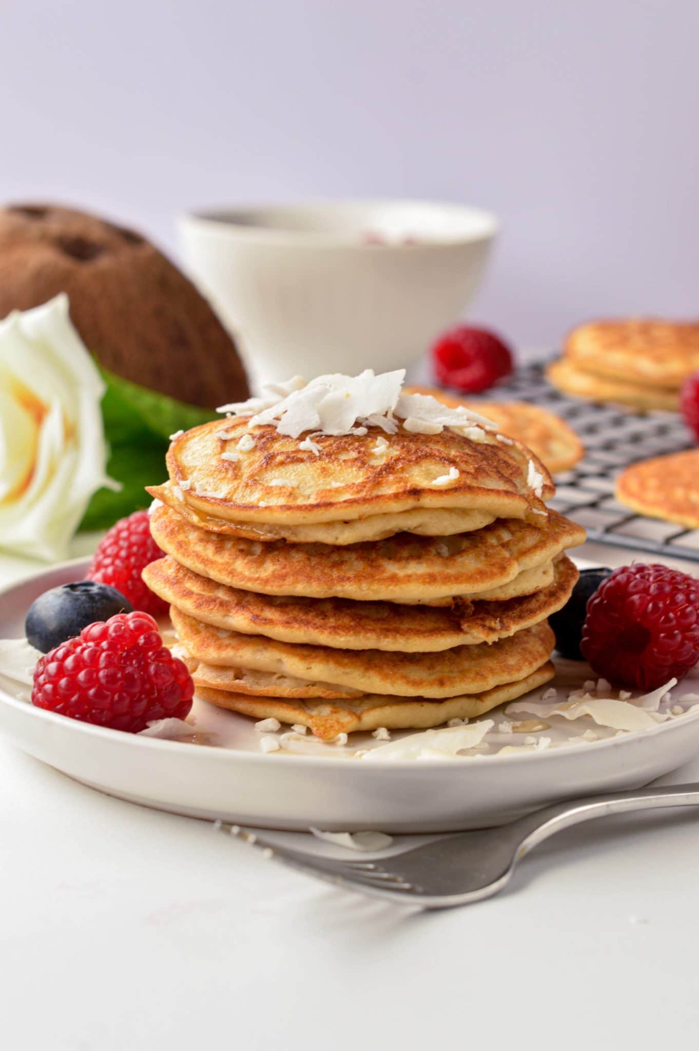 A stack of Coconut Flour Pancakes on a plate decorated with coconut flakes and raspberries.