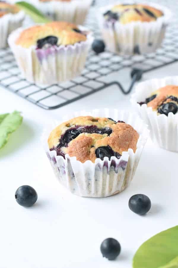 Coconut flour blueberry muffins