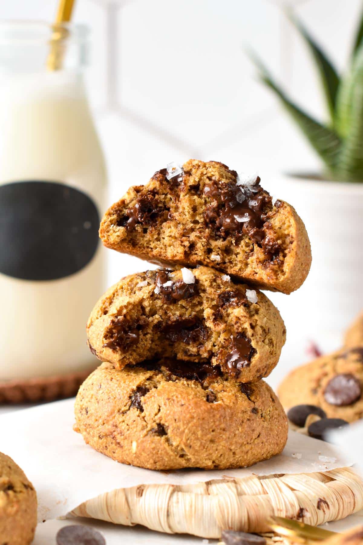 These cottage cheese cookies are delicious melt-in-your-mouth chocolate chip cookies packed with 5 g of proteins and nutrients. Plus, these cookies with cottage cheese are also naturally gluten-free, low-sugar and oil-free.