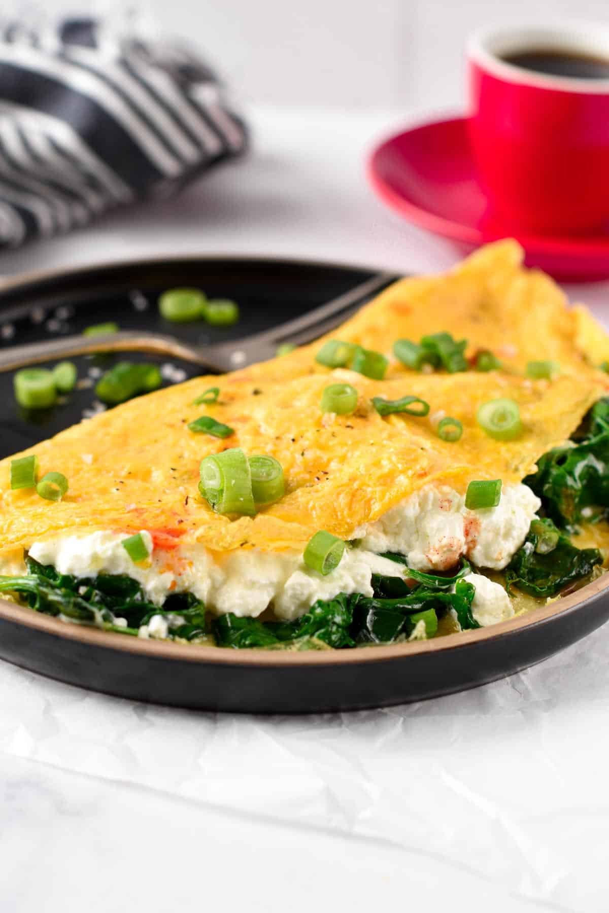 Cottage Cheese Omelette