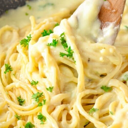 This Cottage Cheese Pasta Sauce is the most delicious creamy protein pasta sauce packed with 17 g of proteins per serve. If you love Alfredo sauce, this healthier version hit the spot.
