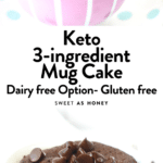 Keto 3-ingredient Chocolate Mug Cake
