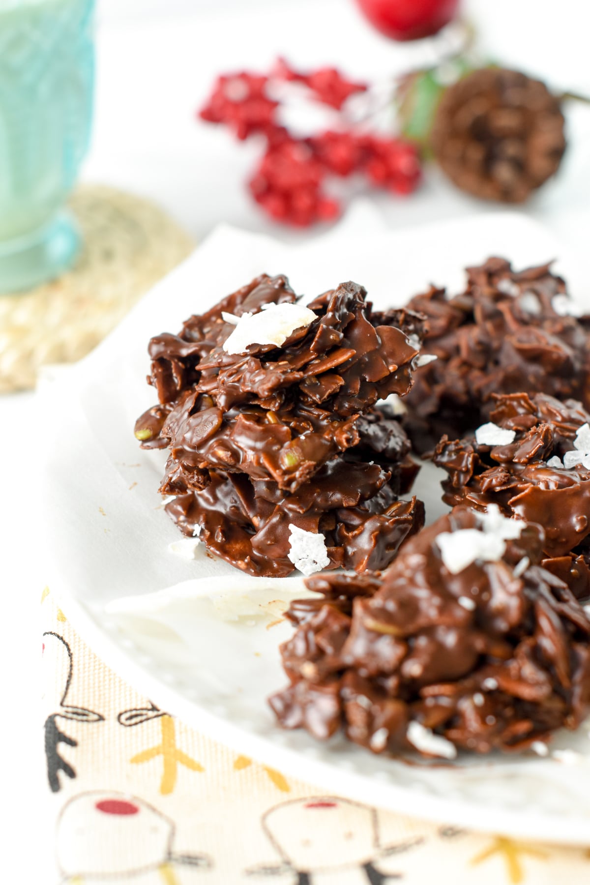 Keto Coconut Clusters with chia seeds vegan paleo dairy free egg free sweet as honey