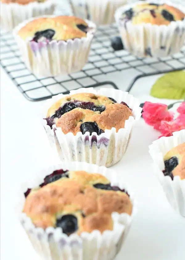 Almond Flour Blueberry Muffins keto Blueberry Muffins
