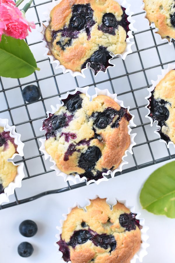 Paleo blueberry muffins coconut flour