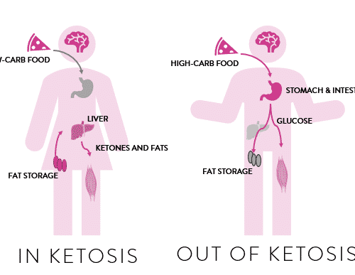 Ketosis: where does the energy come from